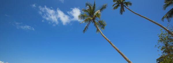 Creating a new condition (qualification) for Sitecore Commerce Engine